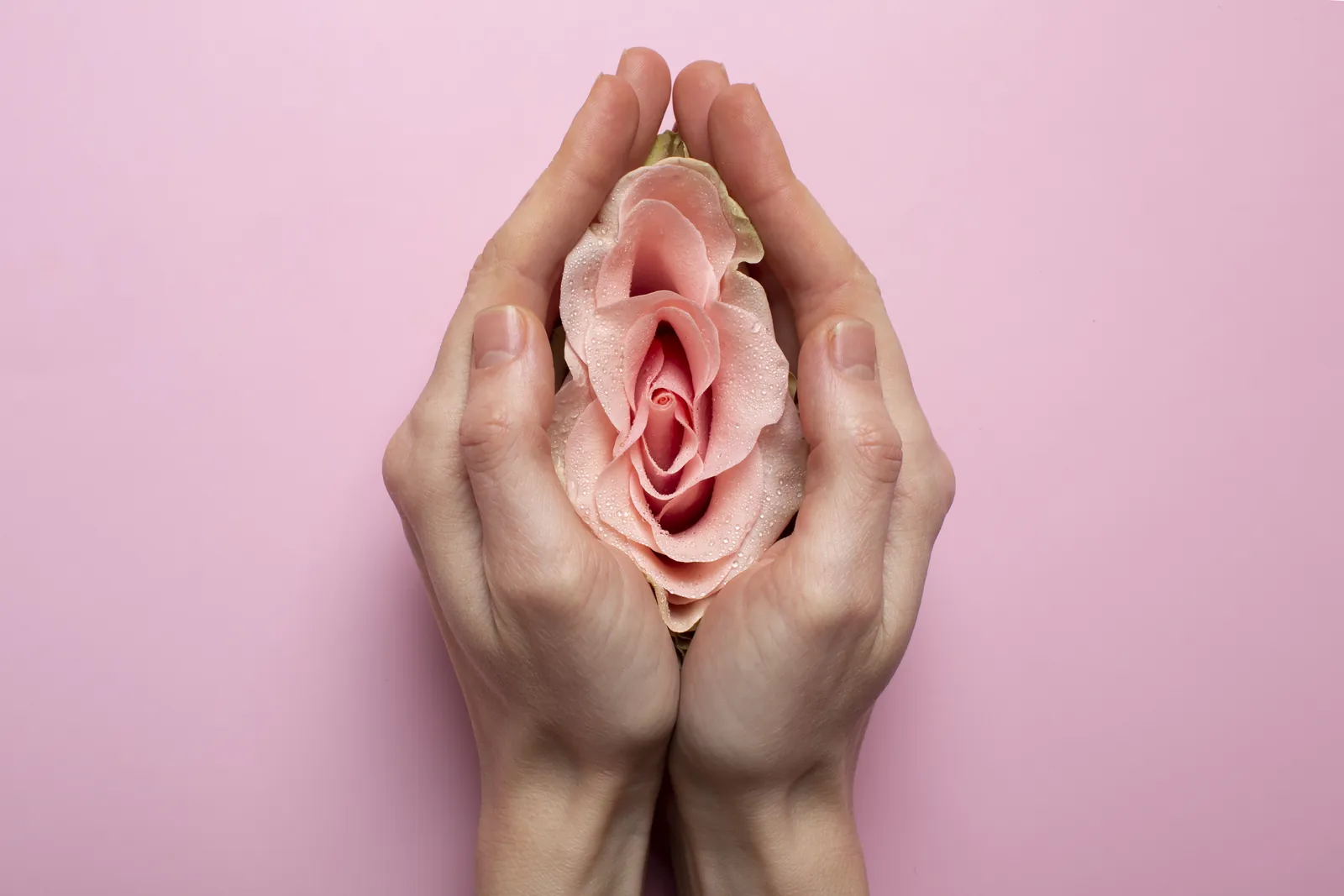 M&atilde;os segurando uma rosa, em refer&ecirc;ncia &agrave; regi&atilde;o &iacute;ntima.